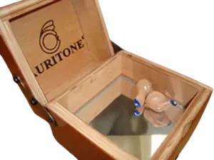 AURITONE  Instrumentos Auditivos de Alta Calidad