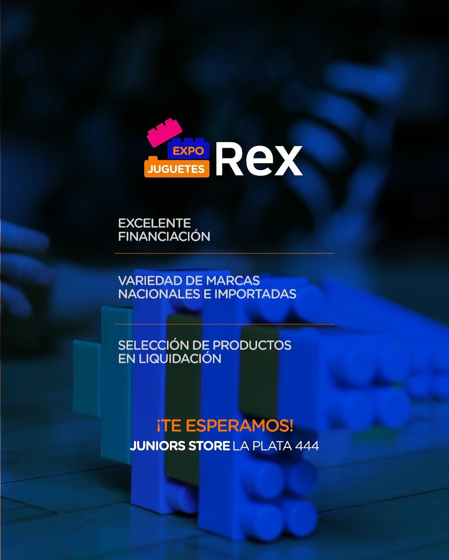 Rex – Mayorista Polirrubro 