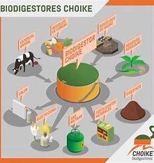 CHOIKE biodigestores