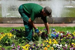 BENZI Jardinería y Paisajismo