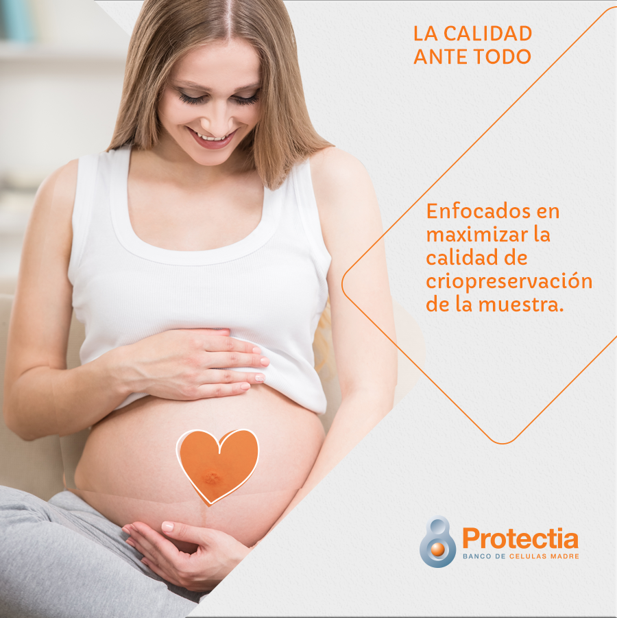 Protética Células Madre