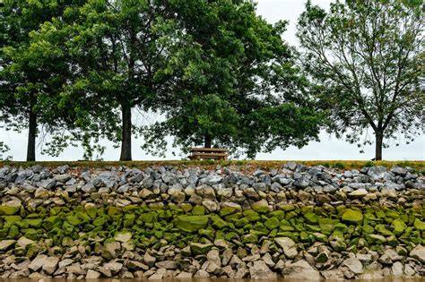 Cementerio Parque del SOL